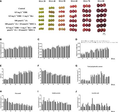 Improving berry quality and antioxidant ability in ‘Ruidu Hongyu’ grapevine through preharvest exogenous 2,4-epibrassinolide, jasmonic acid and their signaling inhibitors by regulating endogenous phytohormones